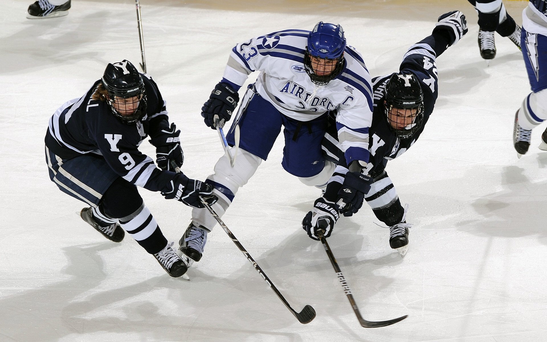 公牛球队防守压力持续增大，公牛队篮球